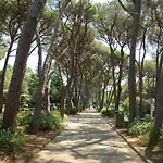 Cigliere By Interhome Lejlighed Castiglioncello